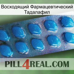 Восходящий Фармацевтический Тадалафил viagra1